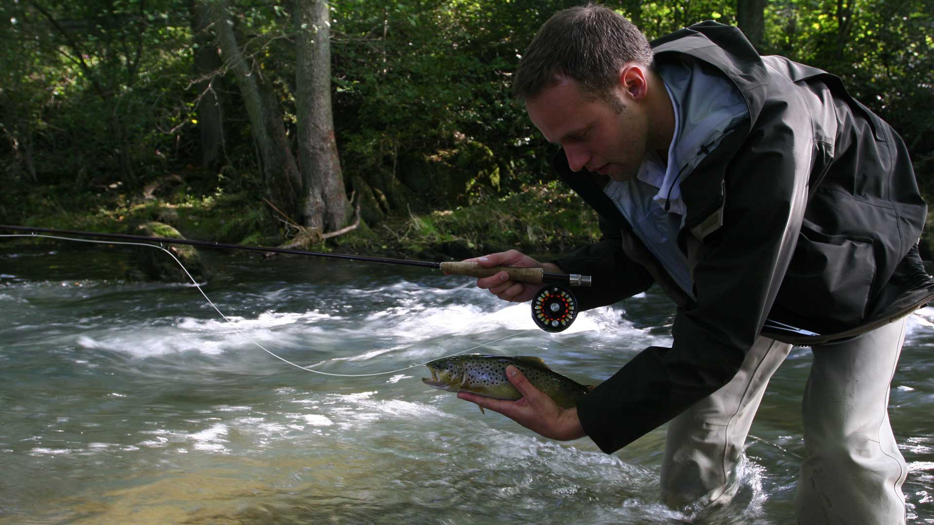 Fliegenfisch an der Wenne, ein Angler mit Fisch