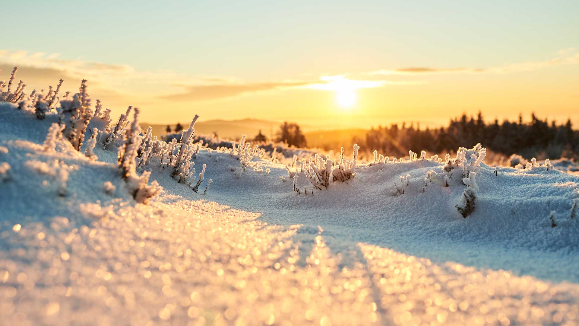 Winterlandschaft