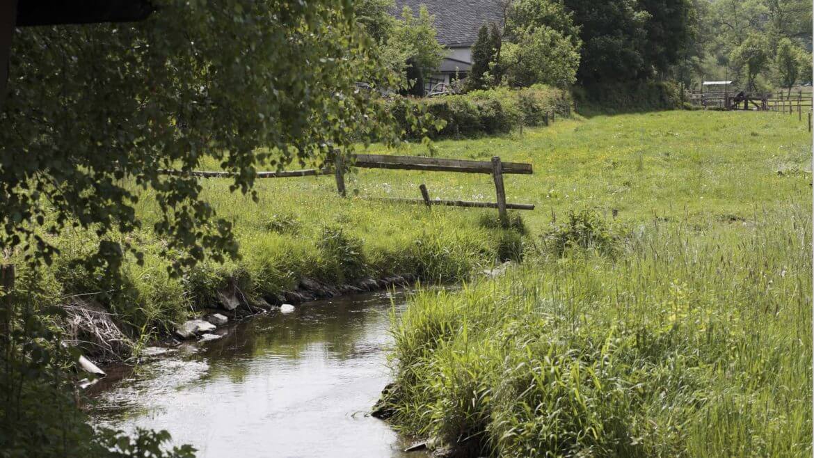 Camping Wiese am Bachlauf